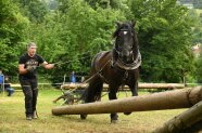 „Reinhard Hundsdorfer in seinem Element beim Holzrückewettbewerb“