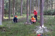 Filmaufnahmen beim Motorsägenkurs im Wald