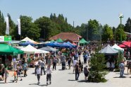 Ansicht auf Besucher zum Waldtag, Volksfestplatz