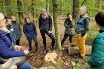 Leiterin des Schulreviers, Katharina Fottner, erklärt Lebensweise der Fichtenborkenkäfer 
