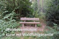 Postkarte - Waldfühlgarantie
