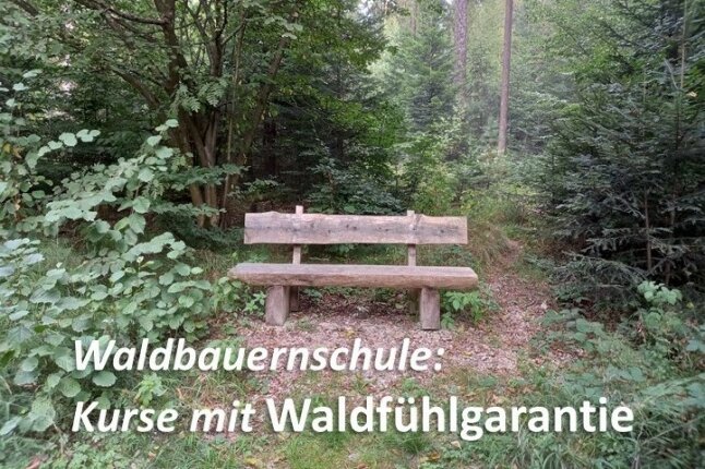 Bayerische Waldbauernschule: Kurse mit Waldfühlgarantie